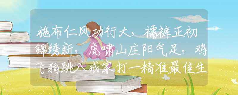 施布仁风功行大，襦裤正初锦绣新，虎啸山庄阳气足，鸡飞狗跳八戒家打一精准最佳生肖,释义成语精选解答