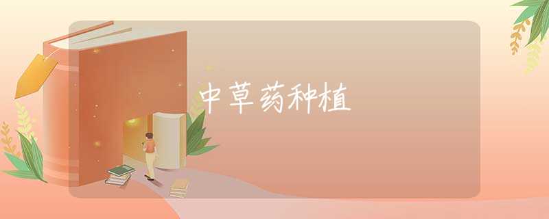 中草药种植