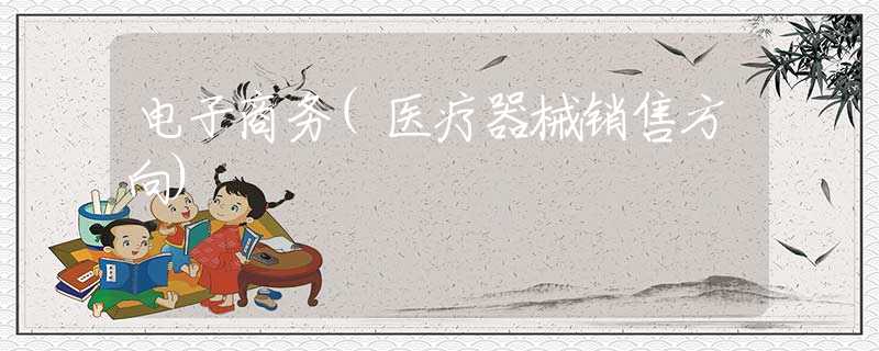 电子商务(医疗器械销售方向)