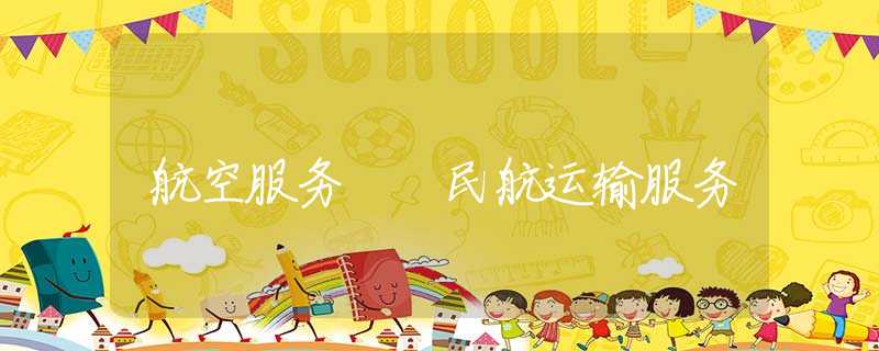 航空服务  民航运输服务