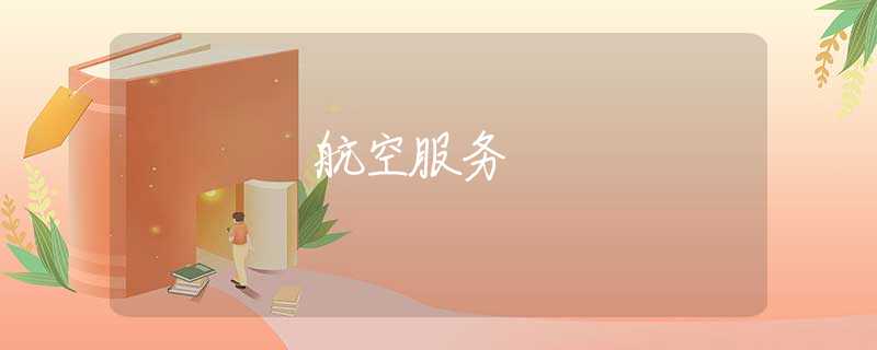 航空服务