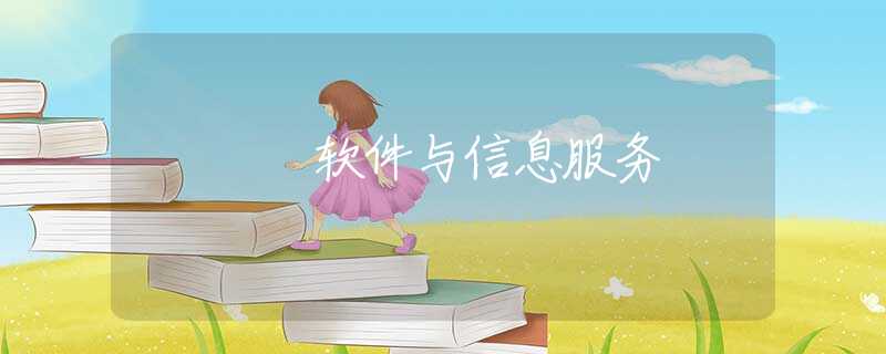 软件与信息服务