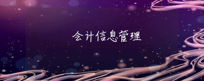 会计信息管理