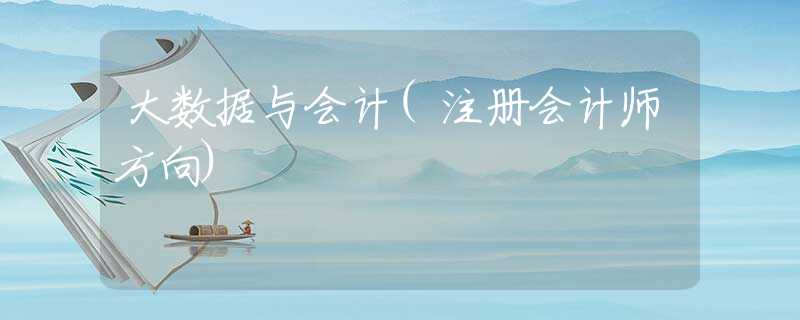 大数据与会计(注册会计师方向)