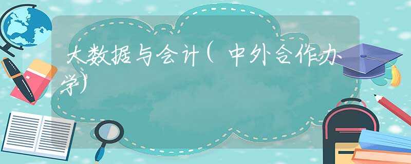 大数据与会计(中外合作办学)