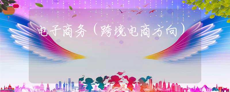 电子商务（跨境电商方向）