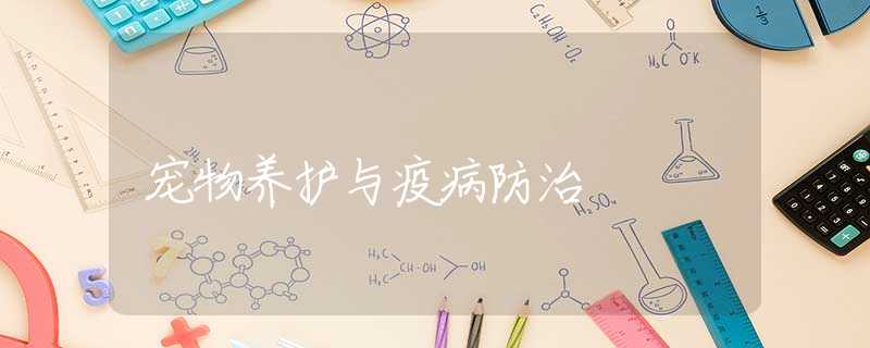 宠物养护与疫病防治