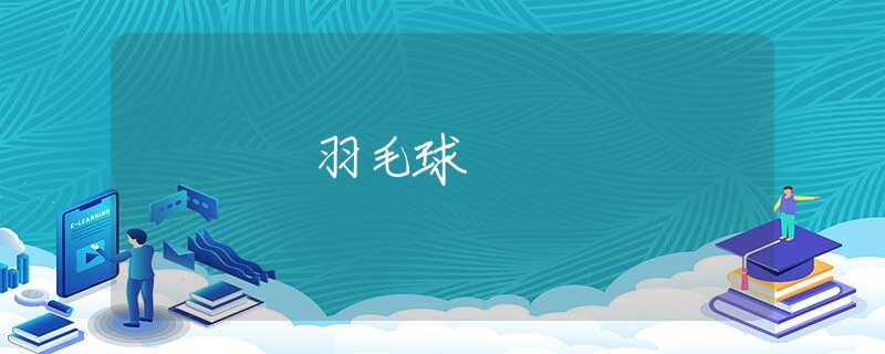 羽毛球