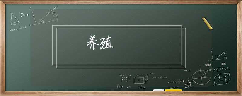 养殖