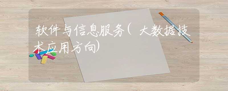 软件与信息服务(大数据技术应用方向)