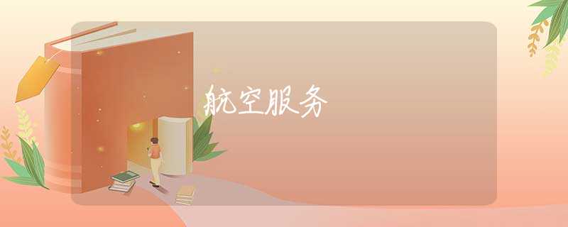 航空服务