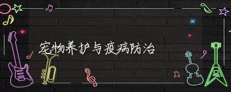 宠物养护与疫病防治