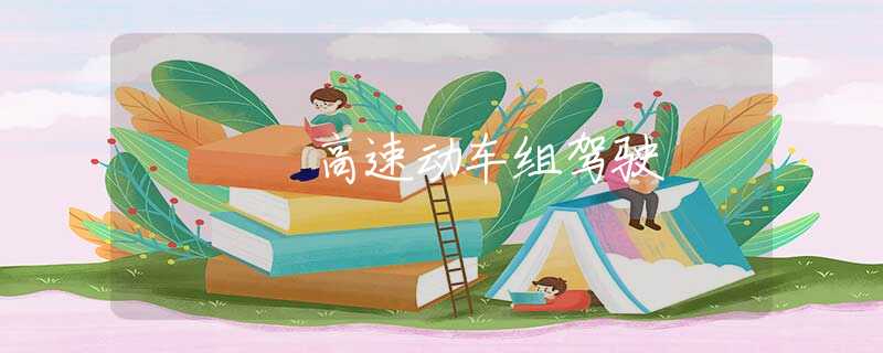 高速动车组驾驶