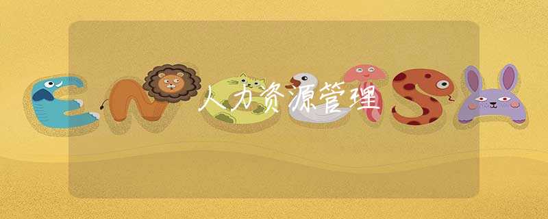 人力资源管理 人力资源管理