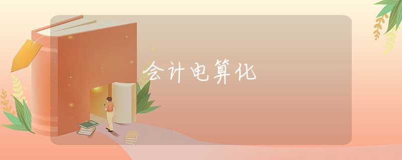 会计电算化 会计电算化