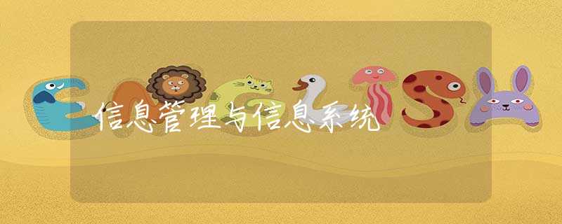 信息管理与信息系统