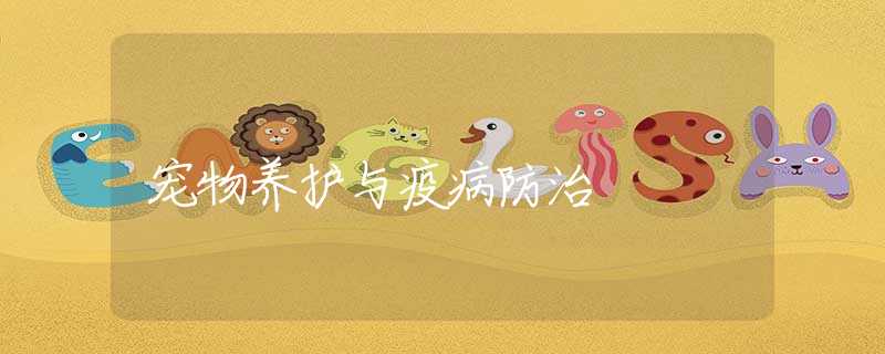 宠物养护与疫病防治
